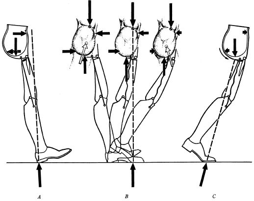 biomechanical analysis img